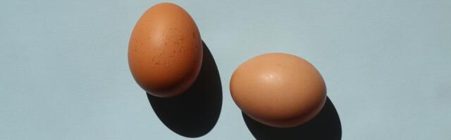 Teadlik tarbija ei lase ennast kanamunade valest märgistusest eksitada