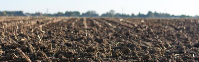 Kliimaministeeriumi eestvõttel valmib kaasaegne mullastikukaart