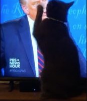 (Enese)abiks neile, keda poliitika kahjustab