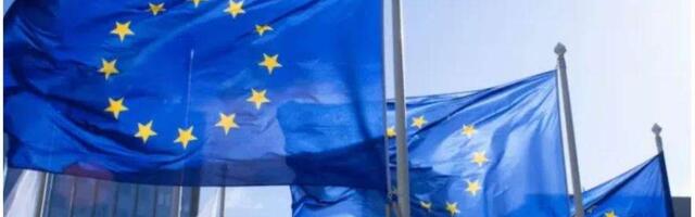 European Elections: Forging Ahead Or A Spanner In The Works