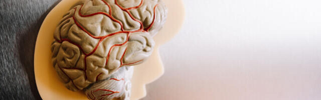 Alzheimeri tõve riski vähendamiseks piisab juba 5000 sammust päevas