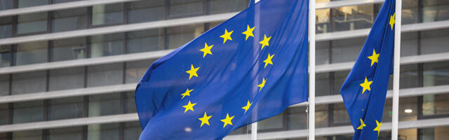 Piiriülene vaidlus ametiasutusega: millal ja kuidas aitab SOLVIT?