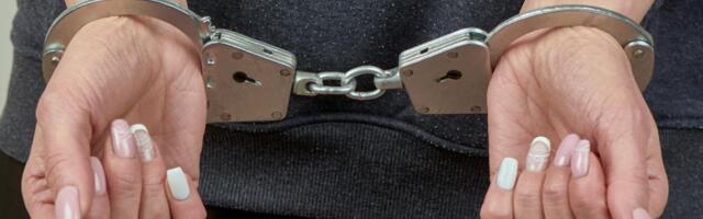 UHAPŠENA ŽENA SA MALTE U NIŠU: Policajci je pretresli na aerodromu, zbog onoga što su našli u njenom prtljagu odmah je privedena!