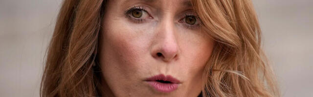 SAPTK korraldab neljapäeva hommikul Stenbocki maja ees piketi MEM Café toetuseks