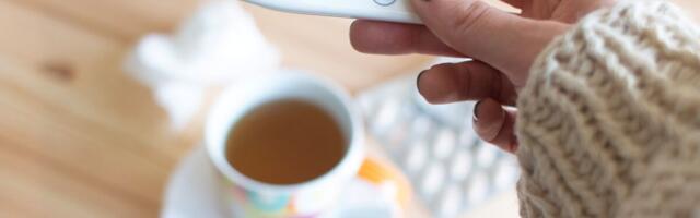 Gripi levik Eestis on laialdane