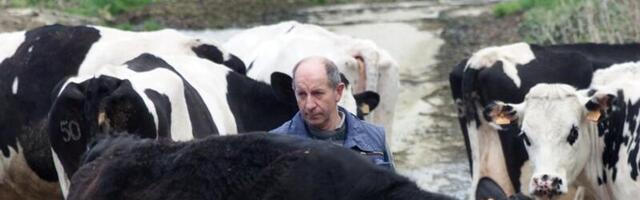 Valitsus eraldas suu- ja sõrataudi ennetamiseks 1,5 miljonit eurot