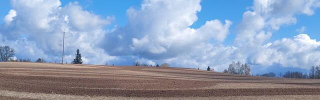 Aasta muld 2026 on leetjas muld