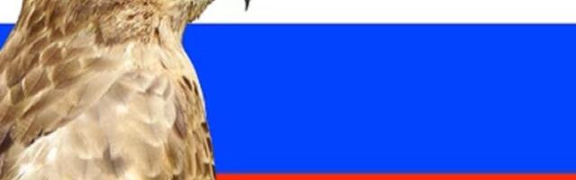 Putin Powerfully Rebuffed The Hawks Who Want Him To Attack NATO