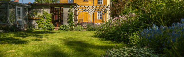 Tartu linn pakub koduaedades elurikkuse loomiseks toetust