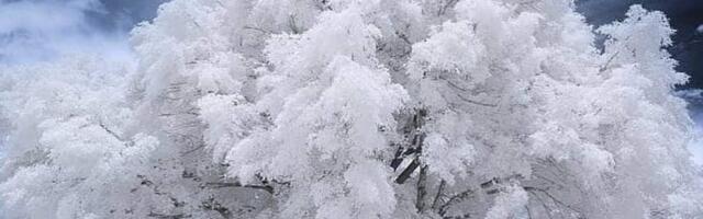 4 päeva ILM: Tulemas on -31°C külma.