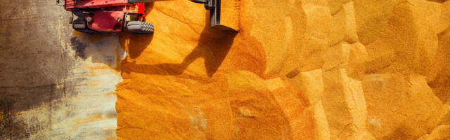 Hiina on varunud enda kätte poole maailma teraviljast