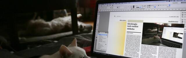 Ideoloogia teeb voodist töökoha