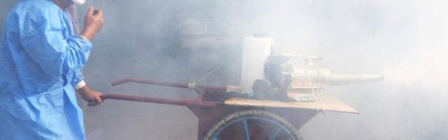 В Китае — уже больше 7000 случаев заражения вирусом Чикунгунья