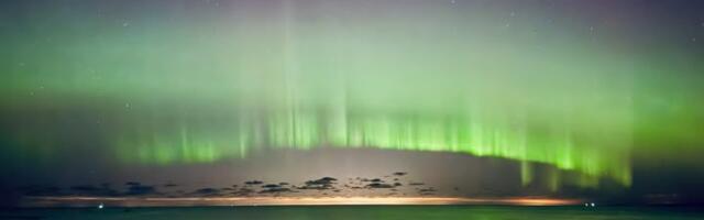 Denis Nikolajev NÄDALA FOTO