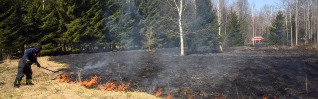 Päästjad peavad kustutama kümneid lõketest alguse saanud kulupõlenguid