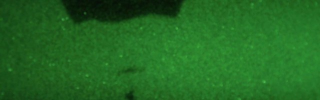 Reporter: Nurmsil maandus ligi 600 lahingvarustuses USA dessantväelast