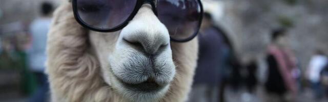 15. november: Vähk selgitab sassis suhteid, Kalad löövad end lille