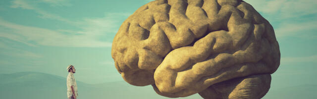 Norra teadlased: inimkonna intelligentsustase on kiiresti langemas