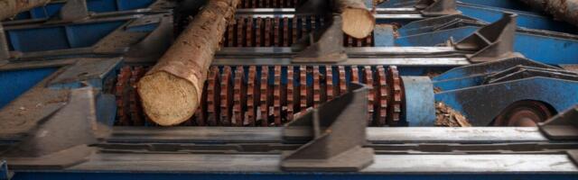 Odav kroon pani Rootsi saeveskid investeerima