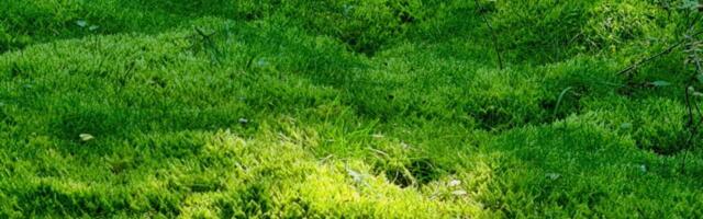 Mis toimub järgmise kuue kuu jooksul?