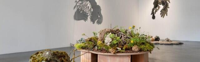 Arvustus. "Ajal, mil kõik muu tundub olulisem": ütle aaaaaa