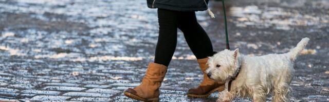 ILMATEADE | Viimased soojad ja sombused ilmad, siis algab külma juurdevool