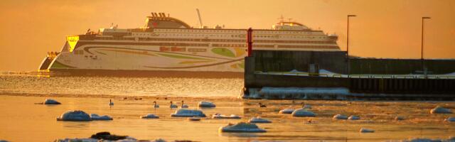 Jaanus Volmre NÄDALA FOTO