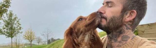 David Beckham jagab südantsulatavat pilti oma musimaia spanjeliga