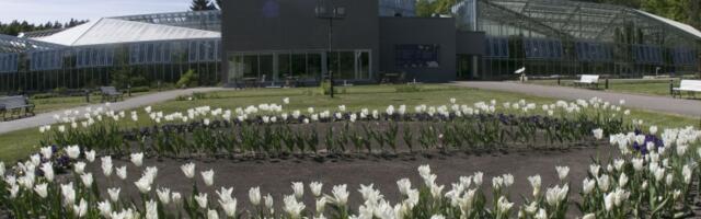 Sõjapõgenikud pääsevad tasuta botaanikaaeda ja loomaaeda