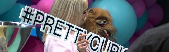 Reporter: Kuidas korraldada pärast pikka koroonapausi pidu?