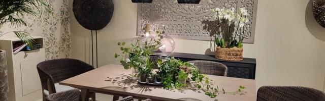 Mööblidisainis domineerivad mugavus ja taaskasutus