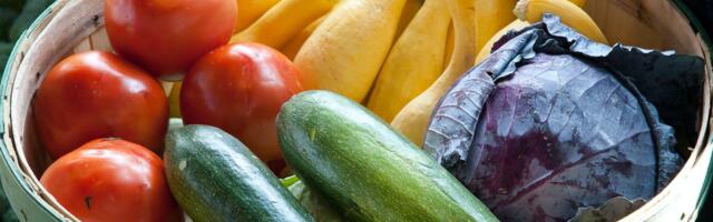 Tartu jätkab tervislike toitumisharjumuste kujundamist