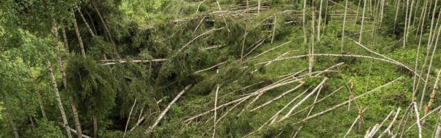 FOTOD | Jaanipäeval Lõuna-Eestit tabanud võimas keeristorm tekitas paksu pahandust FOTOD | Jaanipäeval Lõuna-Eestit tabanud võimas keeristorm tekitas paksu pahandust