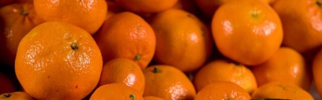 Jõulud toovad piparkoogi otsingutes tippu, mandariin kogub huvi kogu hooaja vältel