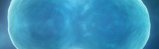 Loodi digiõpik viljakusest.ee