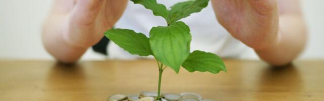 Välisinvesteeringud näitavad taastumise märke: suurem osa investeeringutest läks tööstusesse