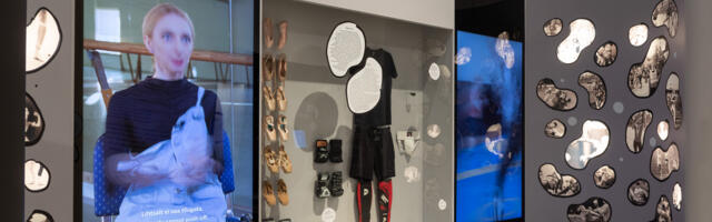 ERMis arutletakse koos priimabaleriinidega valu olemuse üle