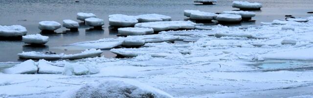 GALERII: merelised jääskulptuurid Pringi rannal