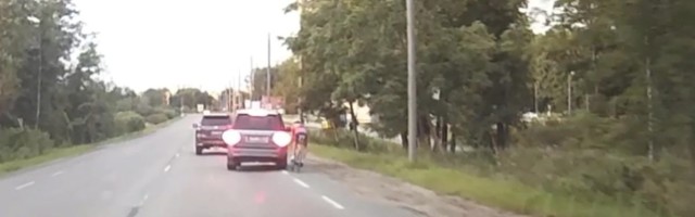 Reporter: Milline on ratturit ramminud autojuhi Mihhail Vassiljevi selgitus?