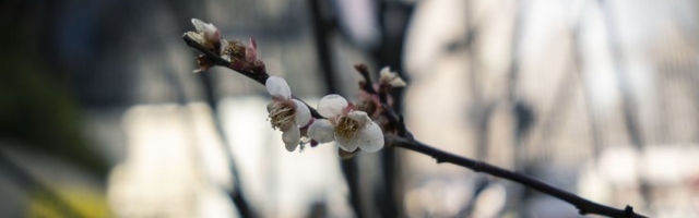 Tundmatud organismid peavad lahendama elu mõistatuse