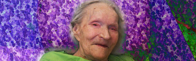 CESISES AVATI JOHANNA GRAUVERKI MAALINÄITUS