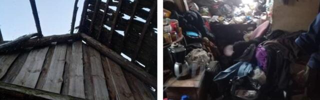 PTA võõrandas Lõuna-Eestis omanikelt koerad