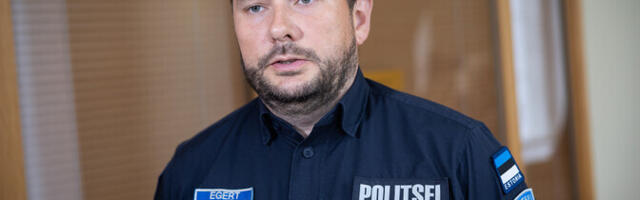 Politseijuht: oleme sageli vaid plaastri panijad