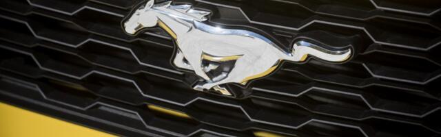 Madis Sinijärv: automüügi saatis põhja registreerimistasu