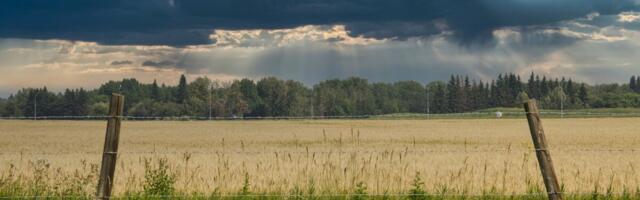 Ülekuumenenud ja valmistumata: küsitluse tulemused näitavad muret kliimamuutustega kohanemisvõime pärast