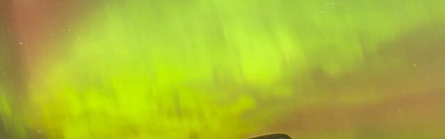 FOTOD JA VIDEO | Öösel ehtisid taevast võimsad virmalised