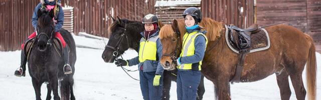 Kol­ga­kü­la tal­vi­sel ra­ken­di- ja  rat­sao­rien­tee­ru­mi­sel võist­le­sid 34 ho­bust