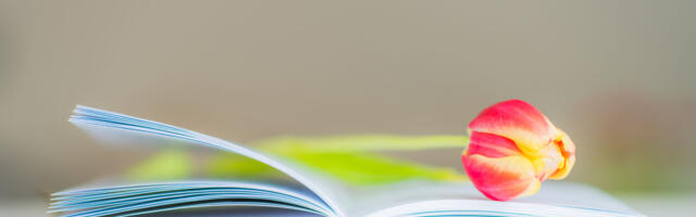 DAVE BENTON: pole takistusi, mida ületada ei saaks!