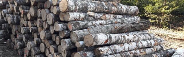 Laesti saeveski lõpetab tegevuse, varad ostab Warmeston