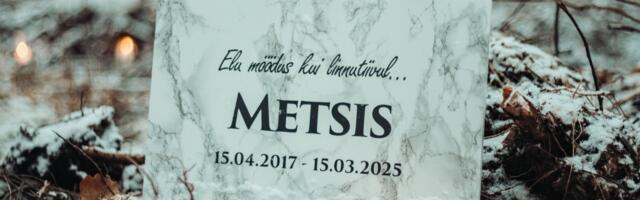 Raielangile ilmusid metsaelanike nimedega hauakivid